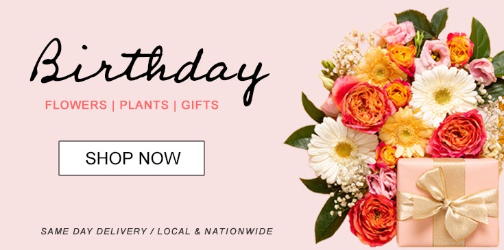 Shop Veldkamp's Flowers for the best selection of birthday flowers, plants and gifts in Denver, Colorado.