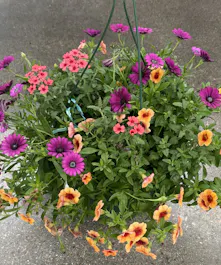 Outdoor Hanging Basket 