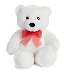 White Teddy Bear 