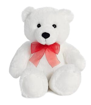 White Teddy Bear