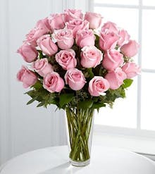 Premium Long Stem Roses - Pink'