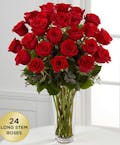 Premium Long Stem Roses - Red