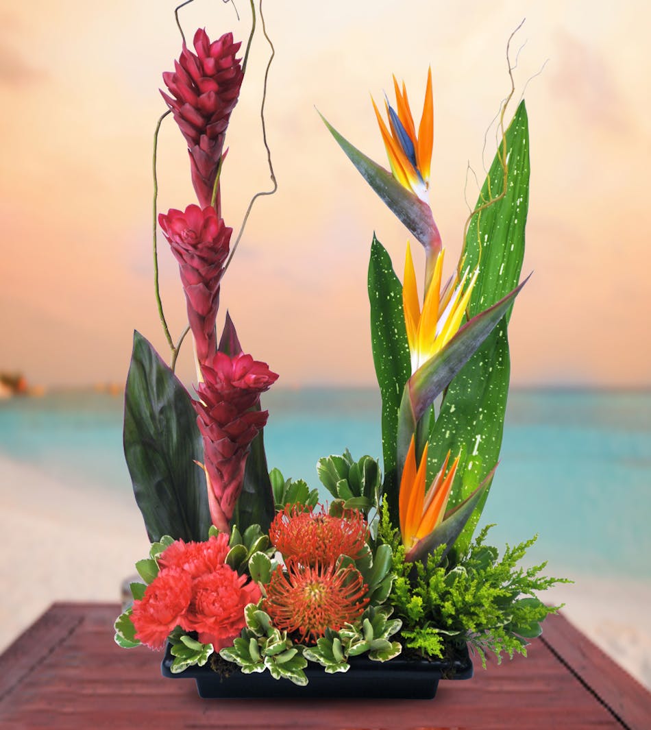 Tropical Sunset Tropical Floral Bouquet Veldkamp S Flowers Denver Florist Fresh Cut Flowers Nationwide Same Day Flower Delivery Tropical Sunset Tropical Floral Bouquet Veldkamp S Flowers Denver Florist Fresh Cut Flowers Nationwide Same Day Flower Delivery