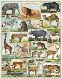 1000 Jigsaw Puzzle 