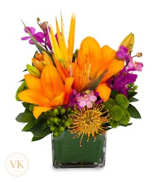 Mixed Tropical Arrangement