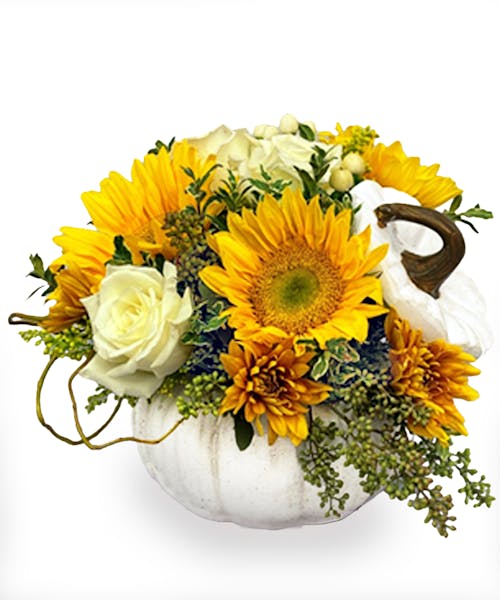 Autumn Sunshine Pumpkin Bouquet