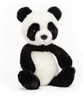 Bashful Panda