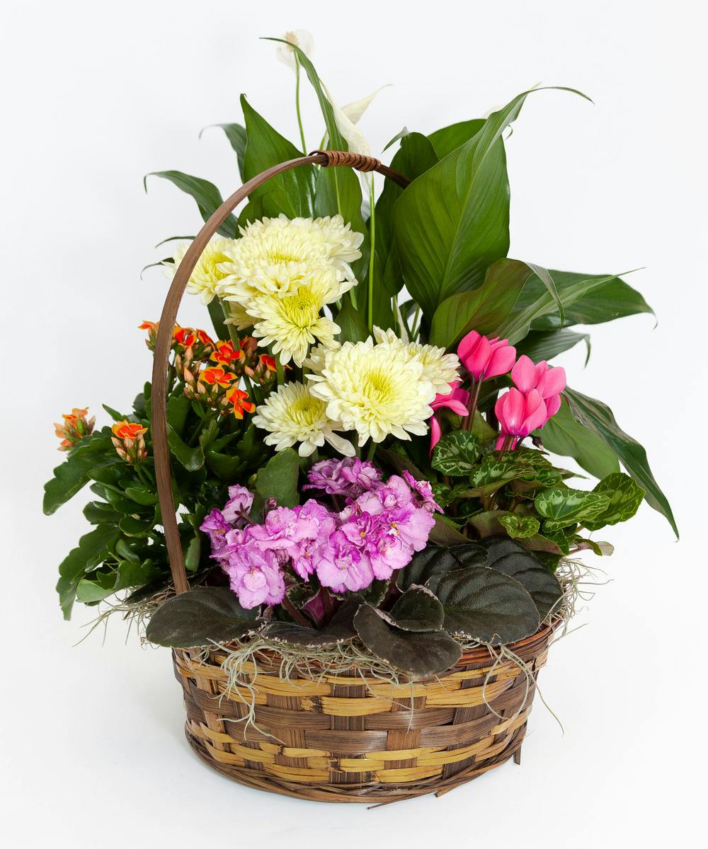 Blooming Garden Basket - Veldkamp's Flowers | Denver Florist | Fresh ...