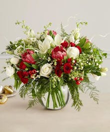 1-800 Flowers Christmas Collection 