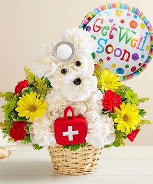 1-800-Flowers Dogable Collection