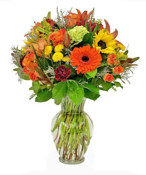 Denver Dazler, Florist Denver CO, Same Day Delivery