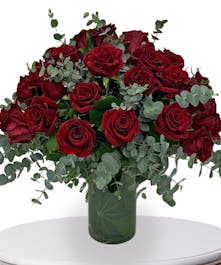 Three Dozen Stunning Roses 