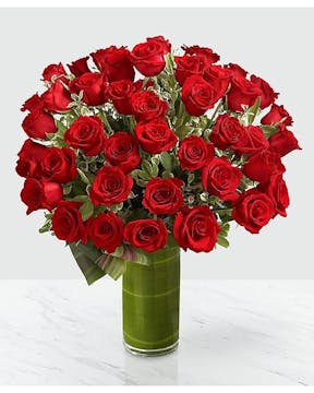 48 Premium Long Stem Roses