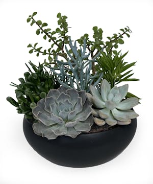 One of a kind gifts!