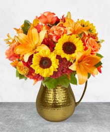 Golden Sunshine Pitcher