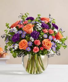  1-800 Flowers Halloween Collection 