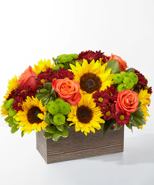 Happy Harvest Garden
