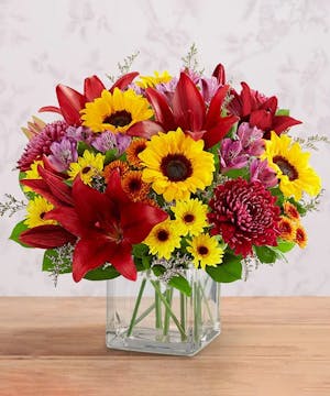 1-800 Flowers Fall Collection