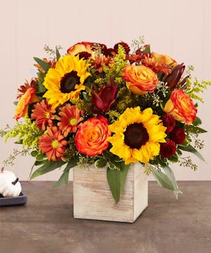 1-800 Flowers Fall Collection