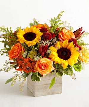 1-800 Flowers Fall Collection