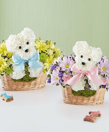 1-800 Flowers Baby Collection 