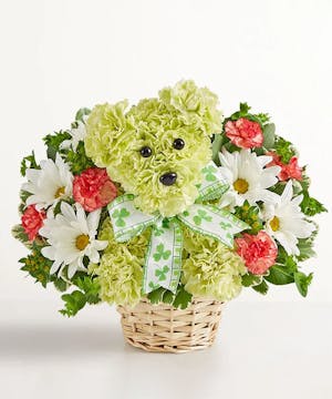 1-800 Flowers St. Patrick's Day Collection