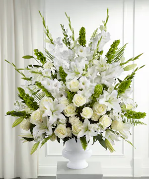 Morning Stars Arrangement