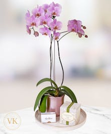 Orchid Gift Set 