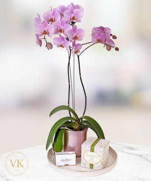 Orchid Gift Set