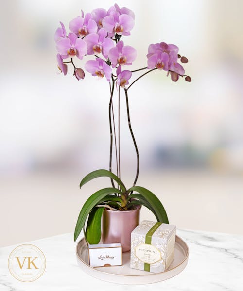 Orchid, Candle & Chocolates Gift Set