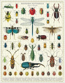 1000 Jigsaw Puzzle 