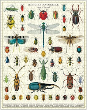 1000 Jigsaw Puzzle