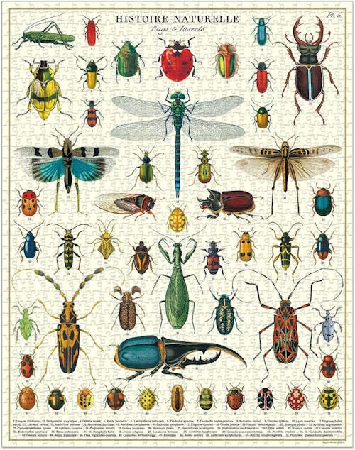 Cavallini Vintage Puzzle Bugs & Insects
