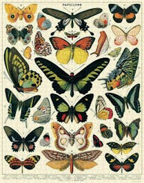 1000 Jigsaw Puzzle 