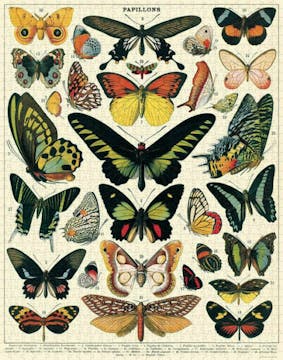 1000 Jigsaw Puzzle