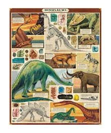 1000 Jigsaw Puzzle 