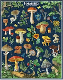 1000 Jigsaw Puzzle 