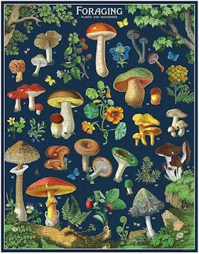 1000 Jigsaw Puzzle