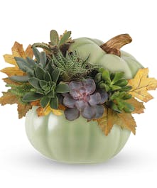 Fall Pumpkin Garden 