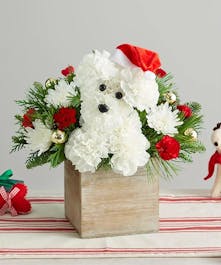 Christmas Dog Arrangement 
