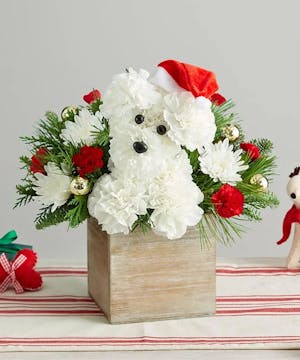 Christmas Dog Arrangement