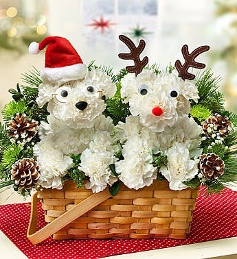 Santa Pup & His Best Reindeer