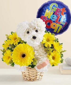 1-800-Flowers Dogable Collection