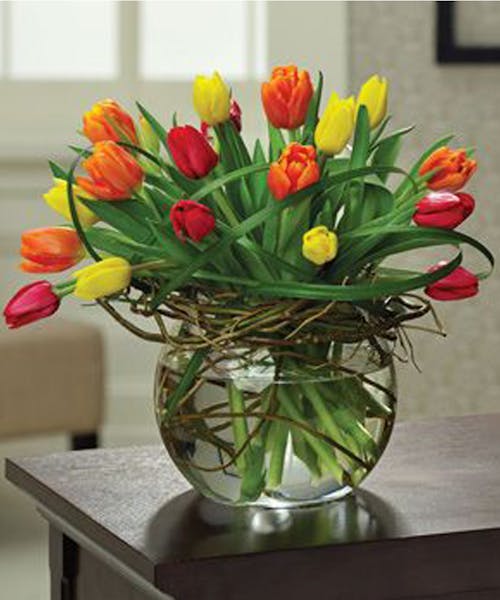 Tulip Mania