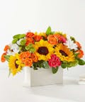 Sun-Drenched Blooms Box Bouquet
