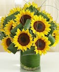 Denver Sunflowers