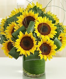 A vase full of Sunflowers. 