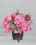 Colorado Charm Peony Bouquet