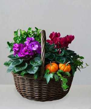 Blooming Fall Garden Basket