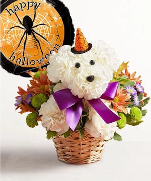 1-800 Flowers Halloween Collection